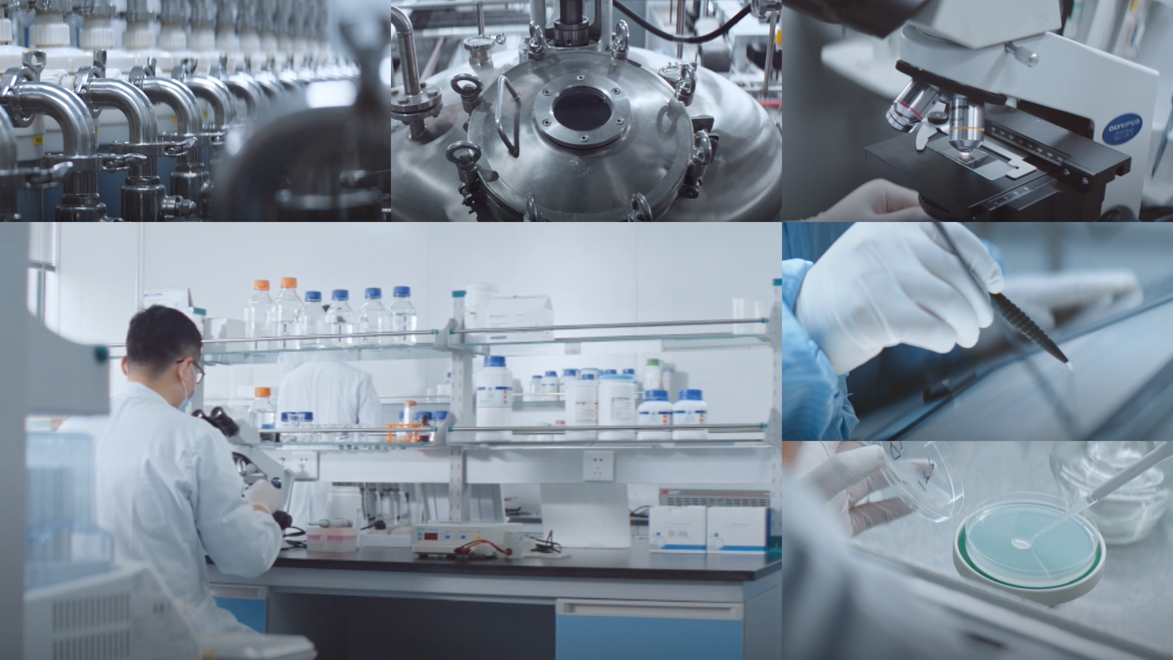 創(chuàng)健醫(yī)療重組XVII型膠原榮獲個人護(hù)理品行業(yè)榮格技術(shù)創(chuàng)新獎