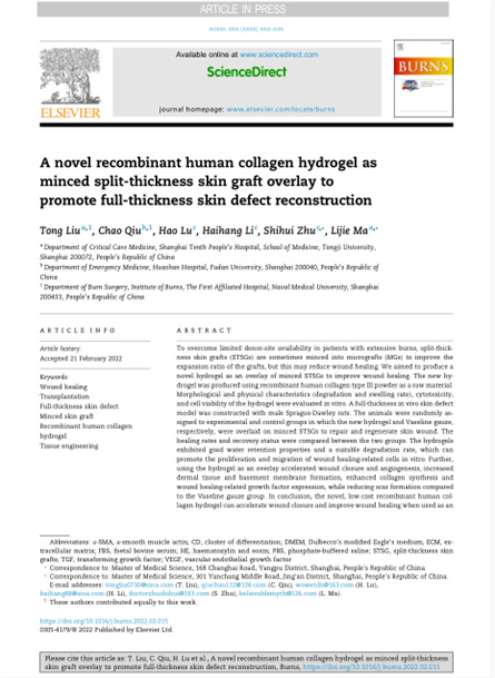 2022 動物研究,重組膠原用于微粒皮移植覆蓋
